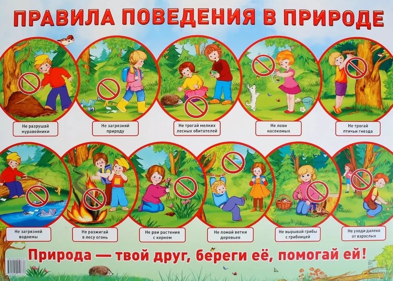 поведение в природе