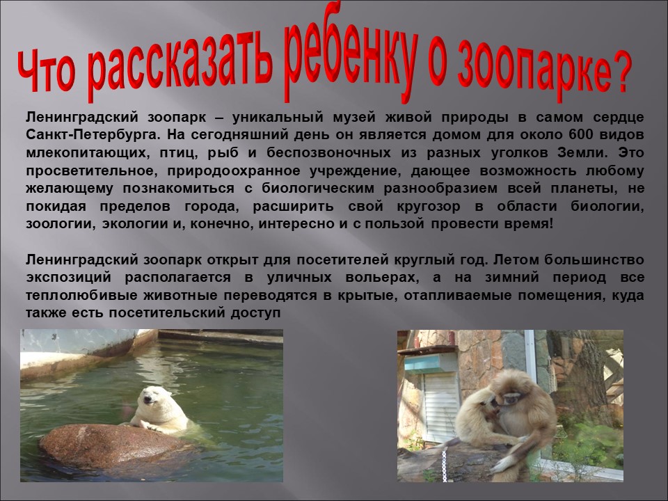 Слайд3
